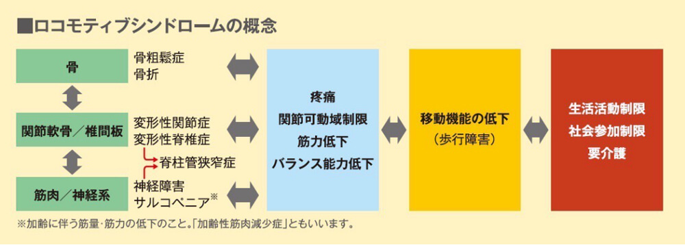 ロコモの概念