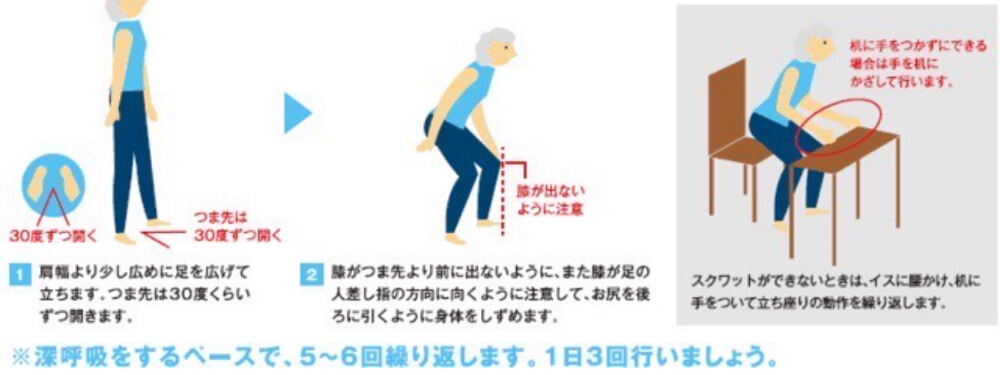 ロコトレスクワット